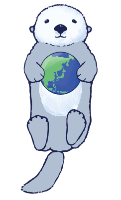 SAVE THE RACCO プロジェクト